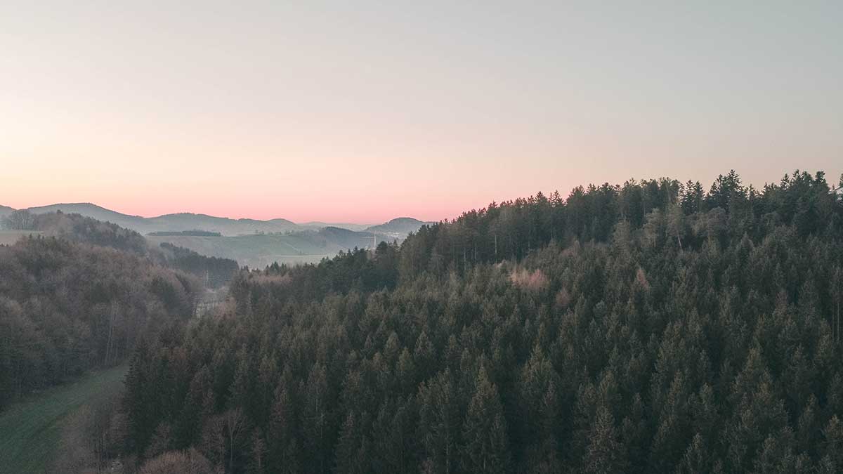 Bayerischer Wald Bayerischer Wald