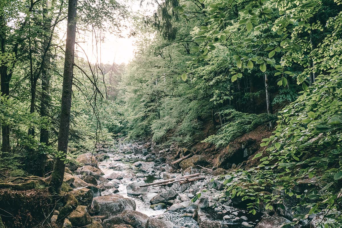 Buchberger Leite mit Wald und Fluss