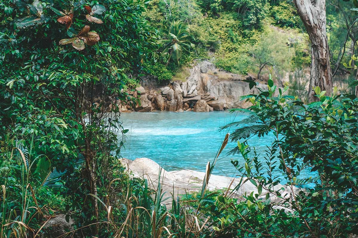 Bucht mit türkisem Wasser und tropischen Pflanzen auf den Seychellen