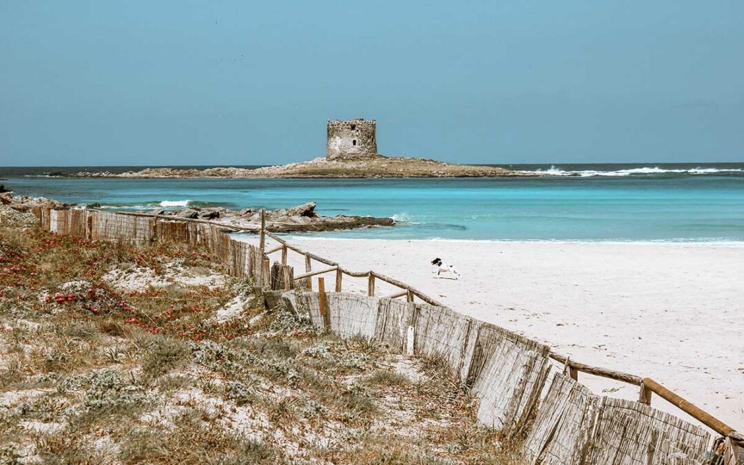 Italiens Insel-Perle: 10 Reisetipps für Sardinien in der Nebensaison