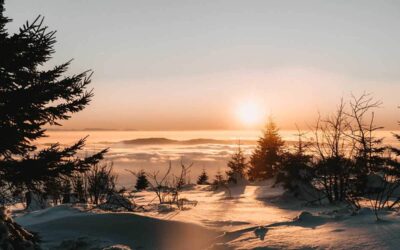 Winterwandern im Bayerischen Wald: die schönsten Schneeschuhtouren