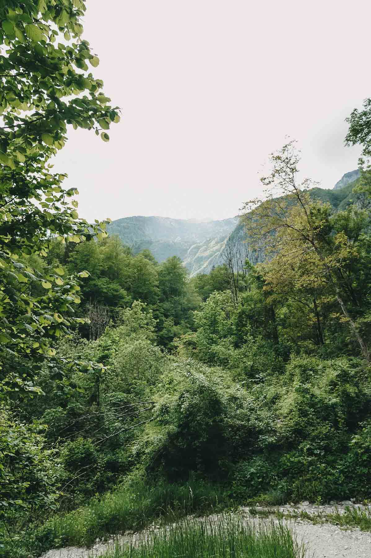 grüne bergige Natur in Slowenien