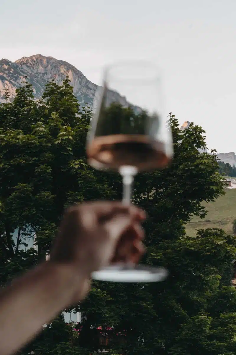 Weinglas mit Bergkulisse Bischofsmütze in Österreich