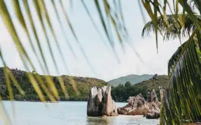 Seychellen Curieuse Island: Bootausflug zu den Riesenschildkröten