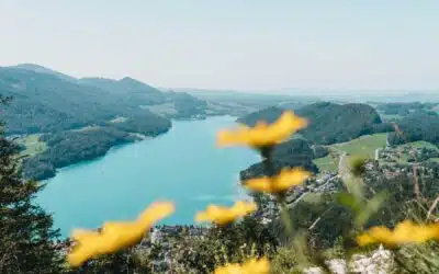 Fuschlsee Wanderung zum Ellmaustein in Österreich