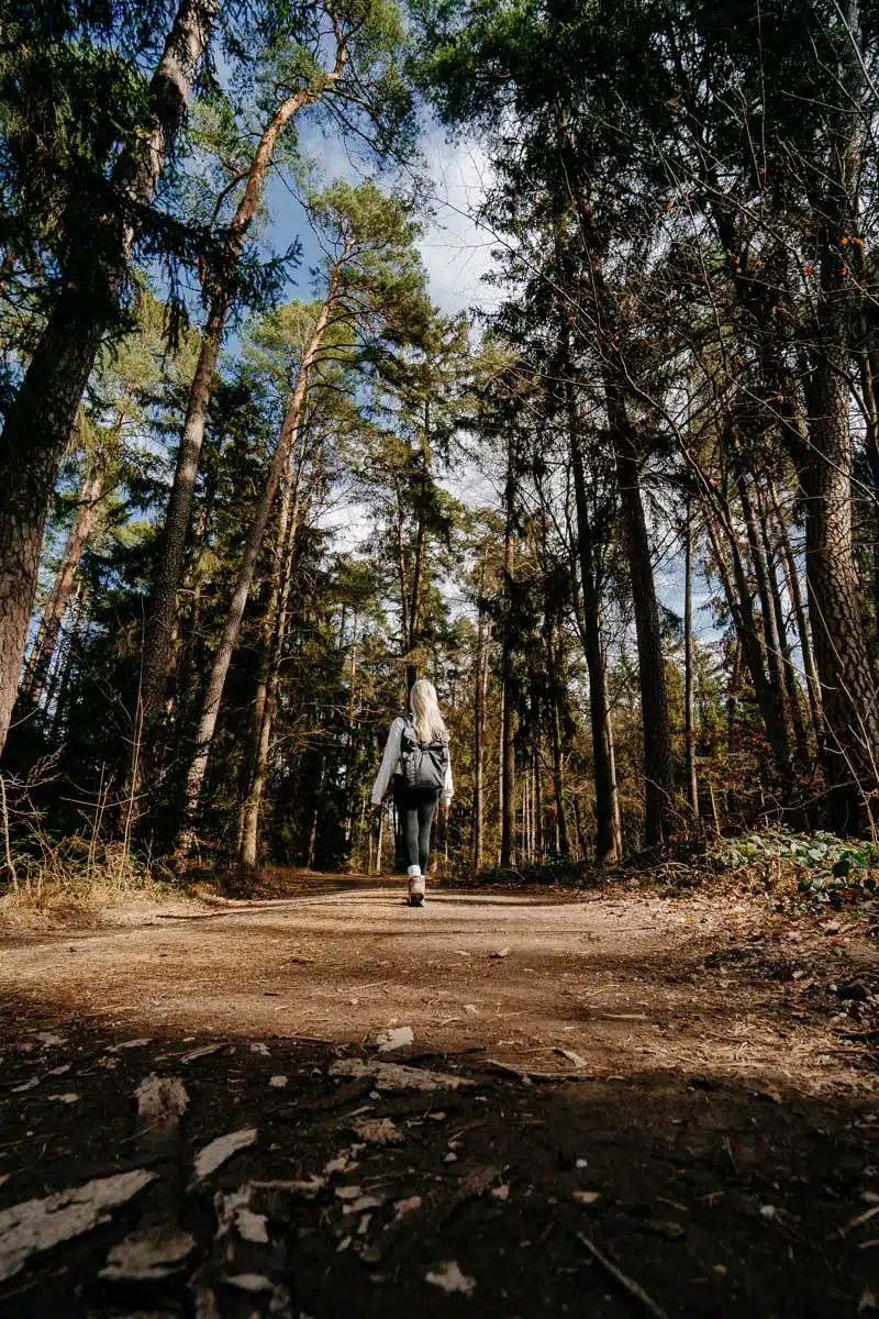 Nardini Meditationsweg Wandern in Straubing Bogen