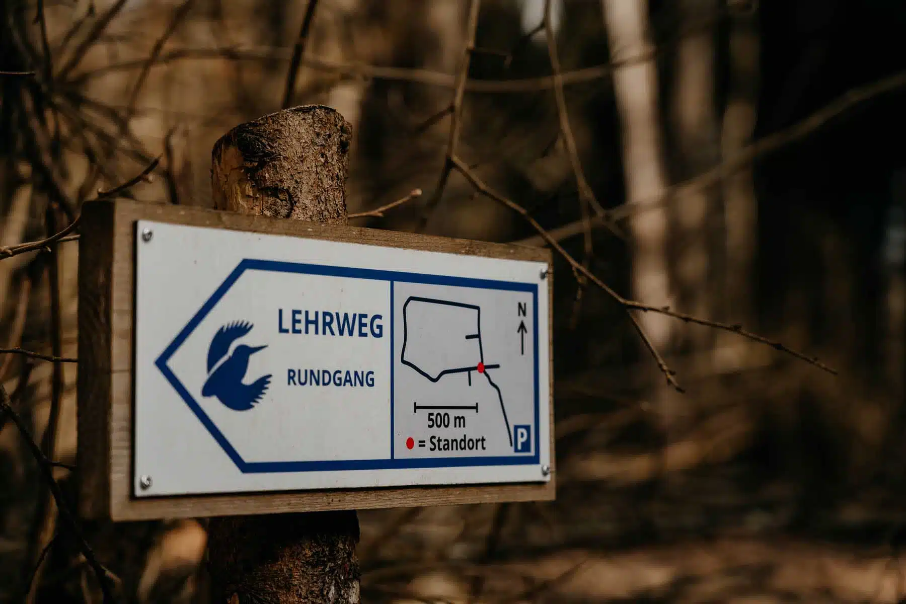 Rundweg mit Lehrpfad im Rainer Wald