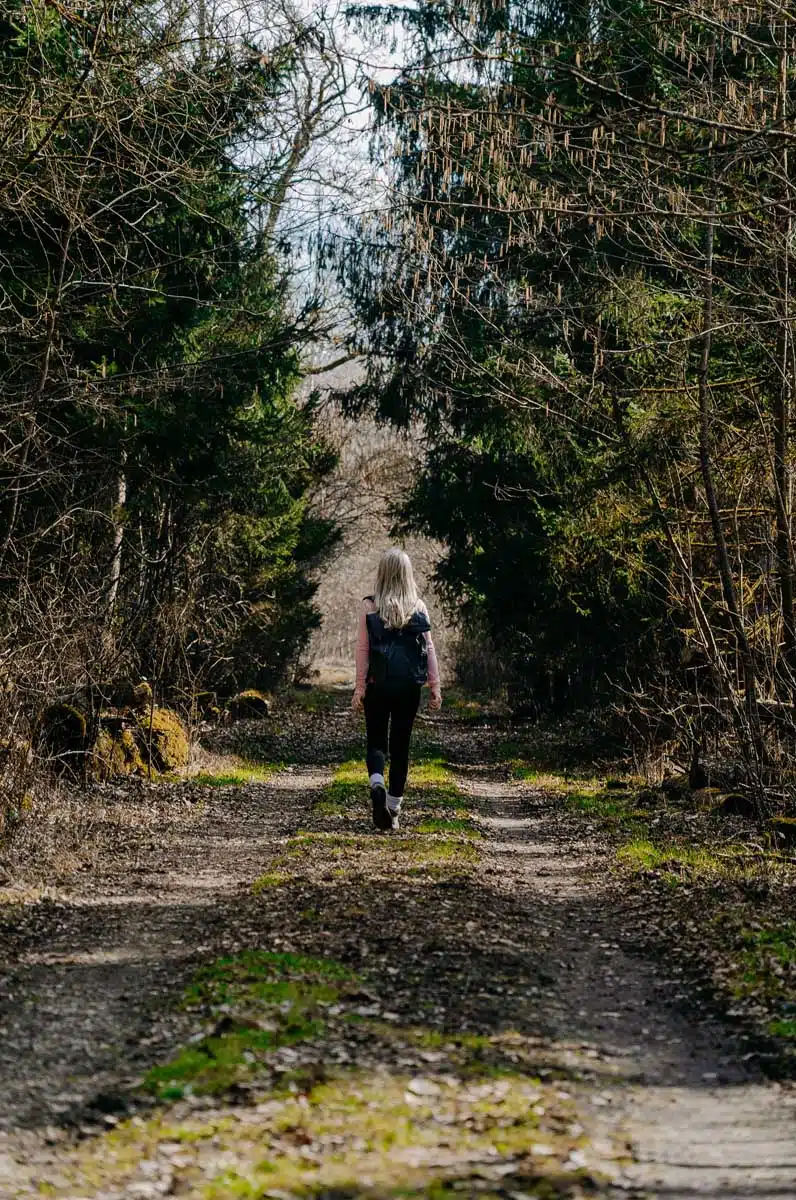 Wandern in Straubing-Bogen im Rainer Wald