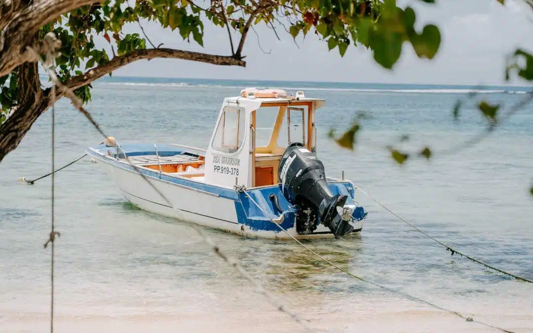 Guadeloupe Reiseplanung: Tipps für die französische Karibik