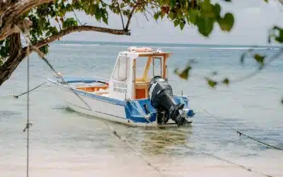 Guadeloupe Reiseplanung: Tipps für die französische Karibik